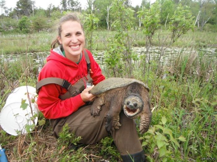 attachment.php?attachmentid=508838&stc=1&d=1464275425