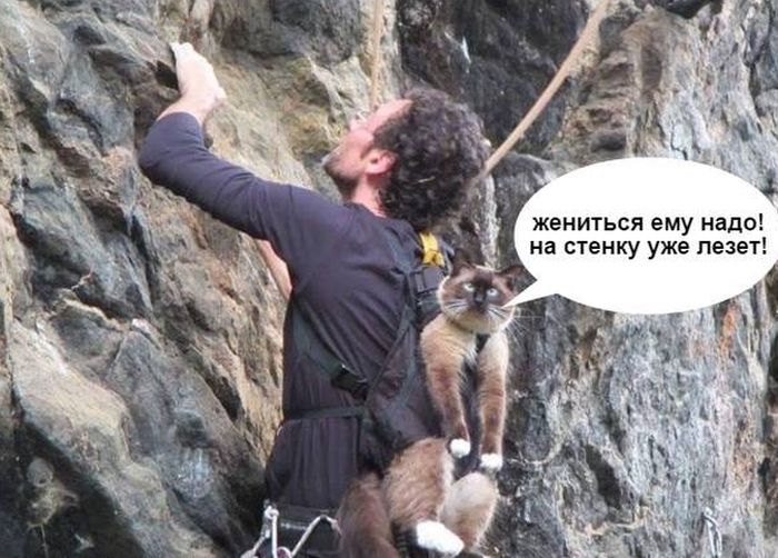 attachment.php?attachmentid=516011&stc=1&d=1467889184