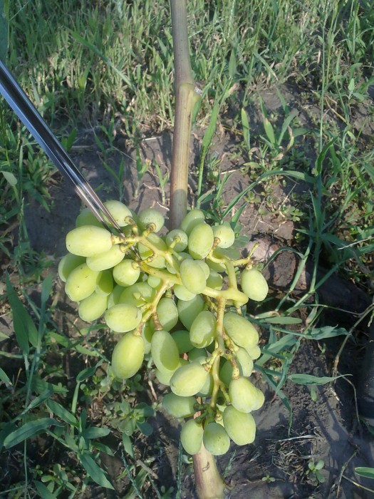 attachment.php?attachmentid=517880&stc=1&d=1468864756