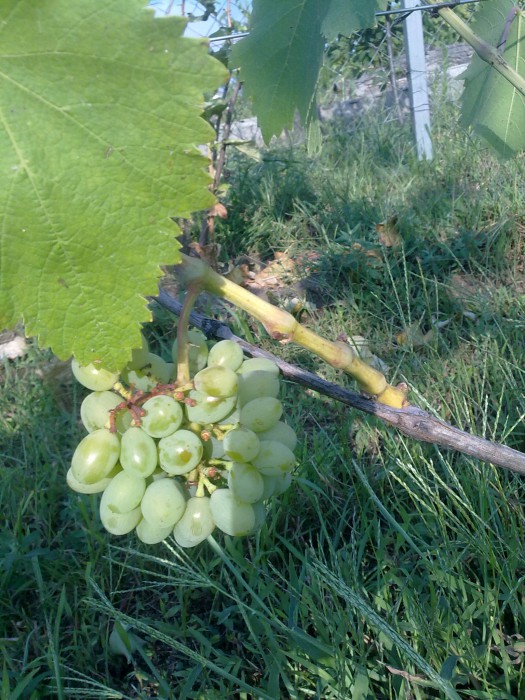 attachment.php?attachmentid=517883&stc=1&d=1468864779