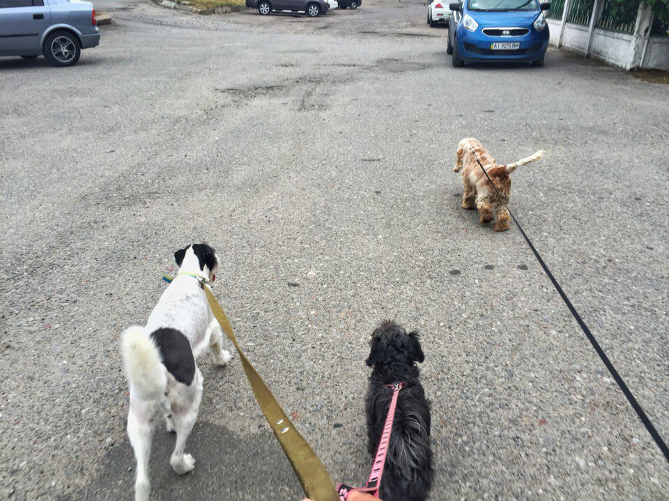 attachment.php?attachmentid=518096&stc=1&d=1469009938