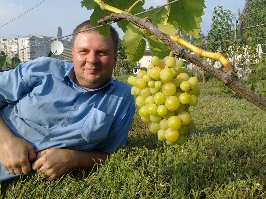 attachment.php?attachmentid=519577&stc=1&d=1469733649