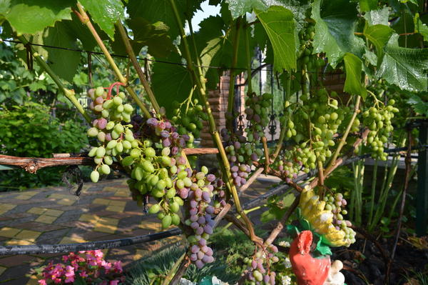 attachment.php?attachmentid=520003&stc=1&d=1469997813