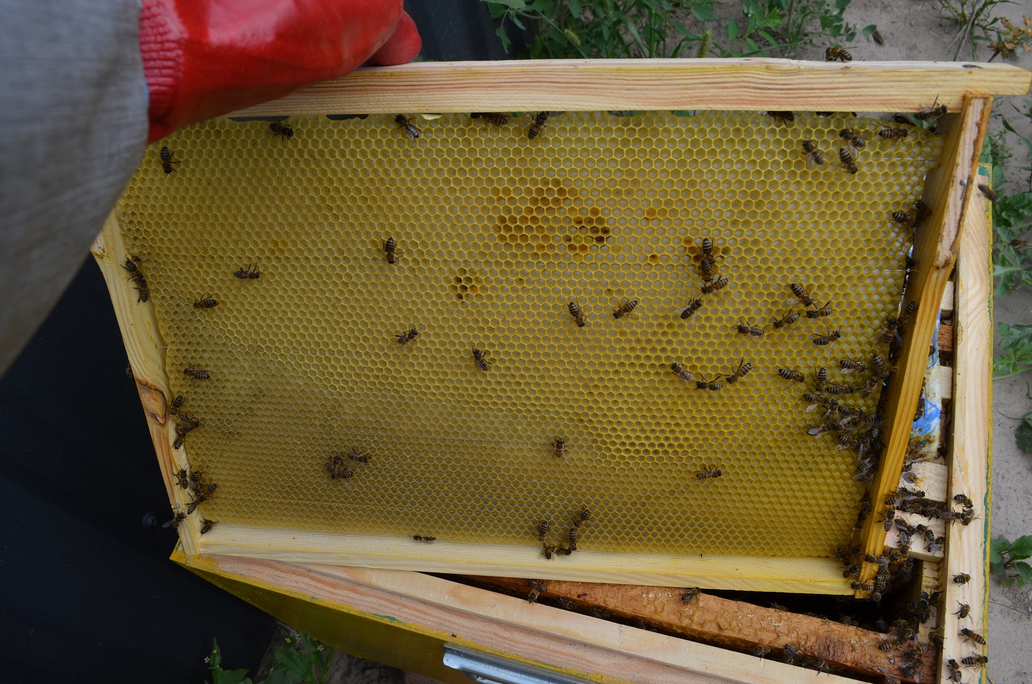 attachment.php?attachmentid=521297&stc=1&d=1470594803