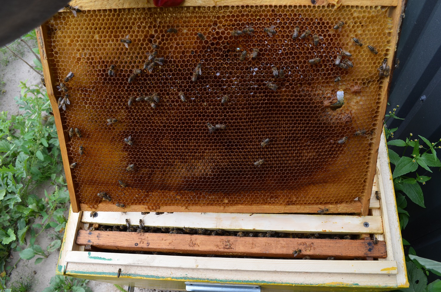 attachment.php?attachmentid=521312&stc=1&d=1470595519