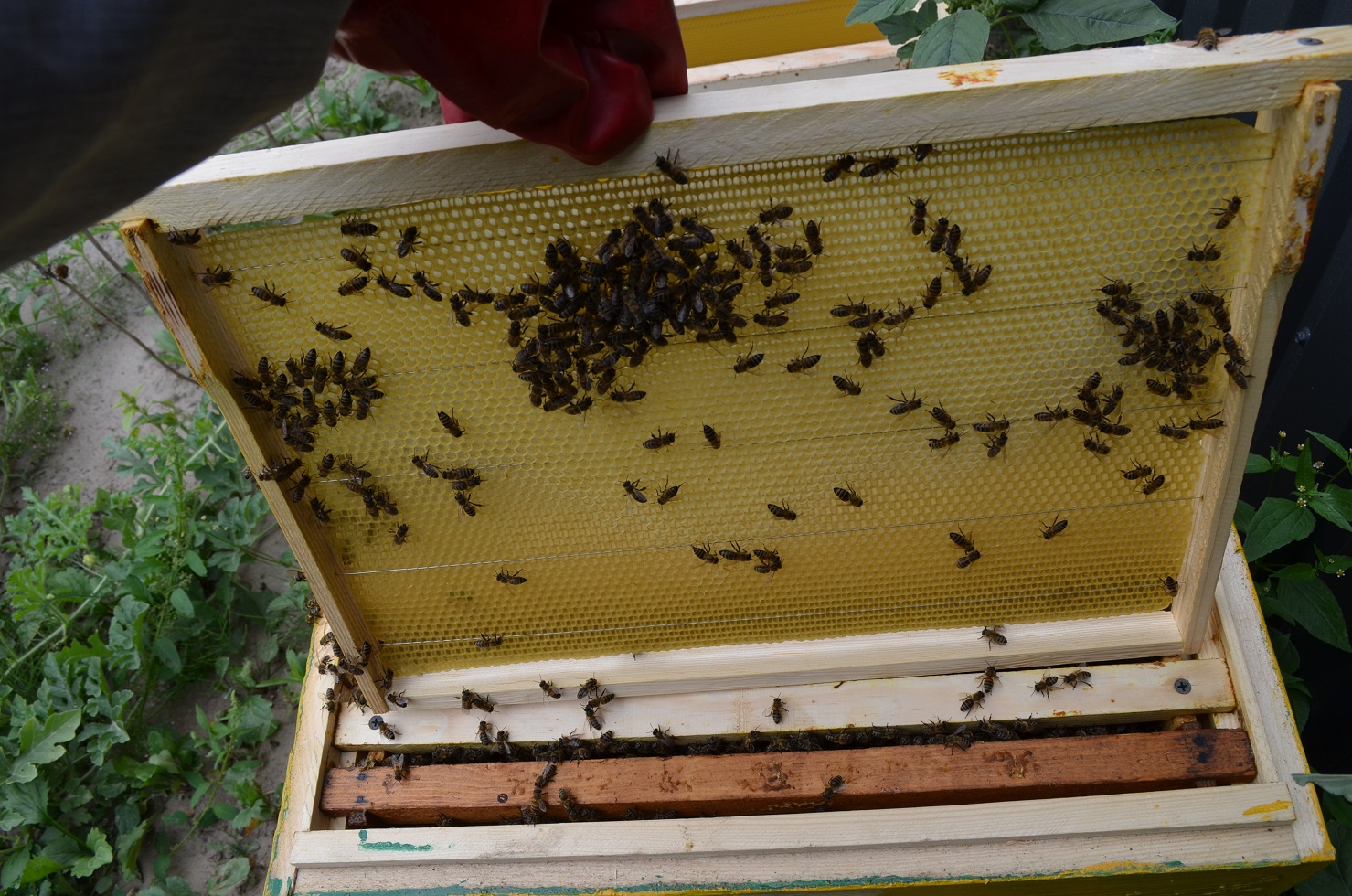 attachment.php?attachmentid=521314&stc=1&d=1470595538