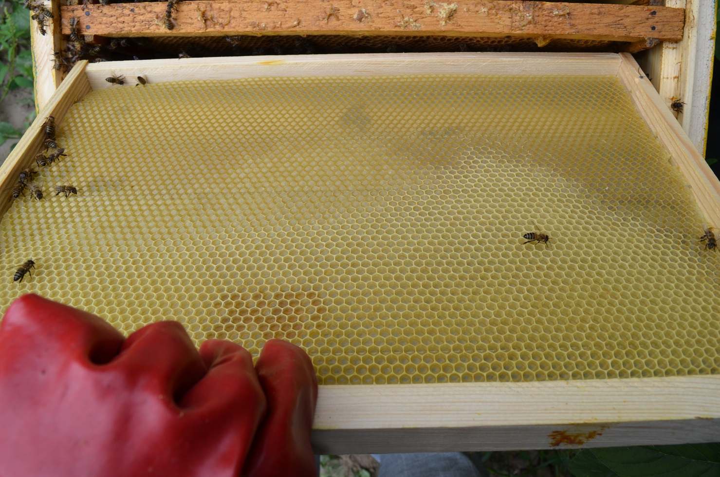 attachment.php?attachmentid=521315&stc=1&d=1470595543