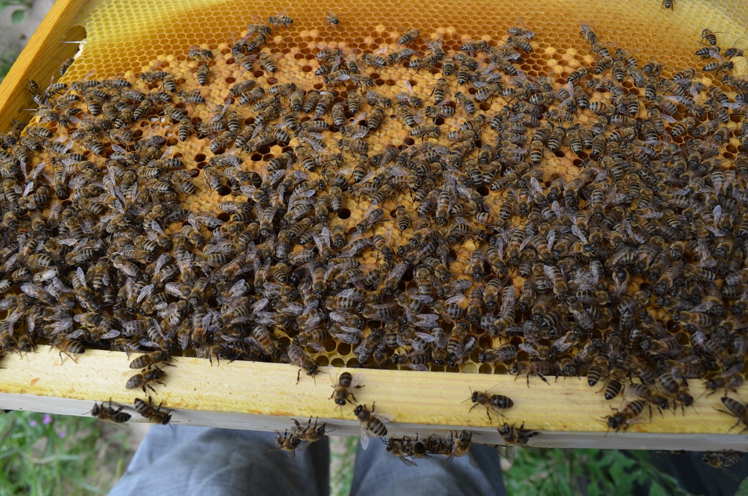 attachment.php?attachmentid=521317&stc=1&d=1470595552