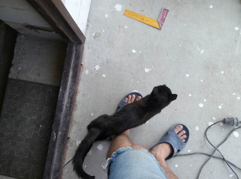 attachment.php?attachmentid=521528&stc=1&d=1470683453