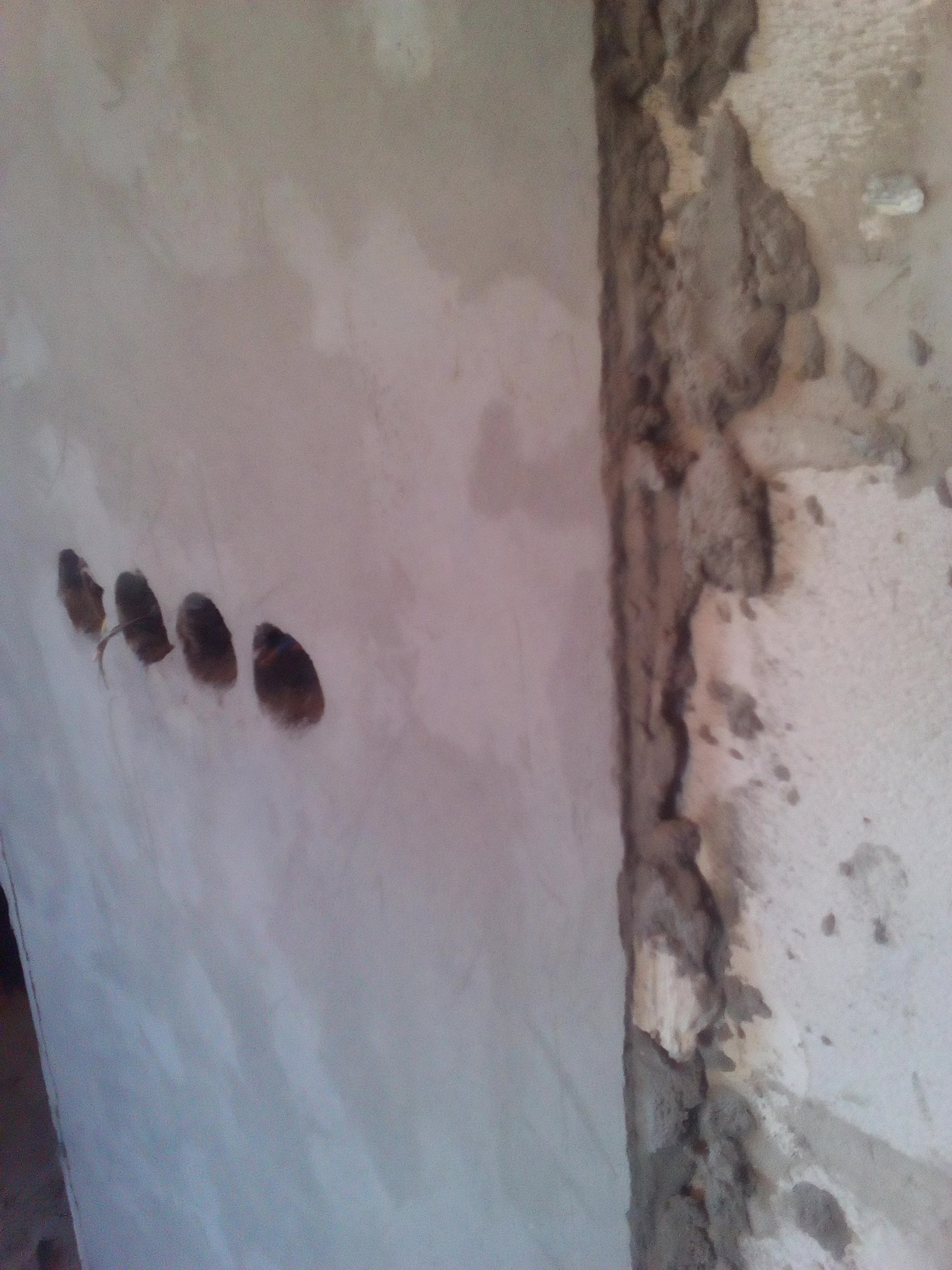 attachment.php?attachmentid=521800&d=1470806914