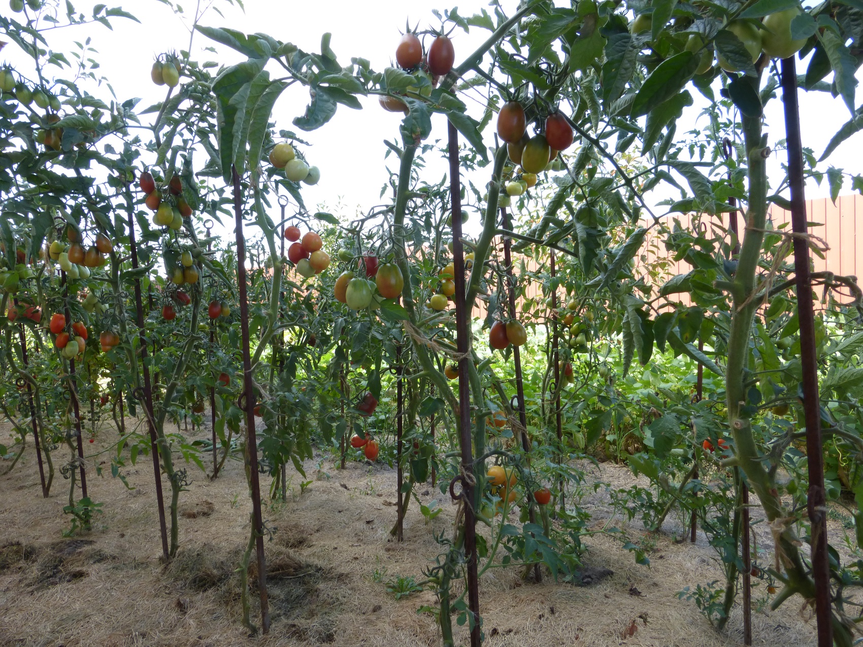 attachment.php?attachmentid=522890&d=1471339855