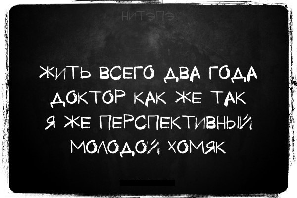 attachment.php?attachmentid=529029&stc=1&d=1474633850