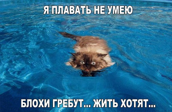 attachment.php?attachmentid=530379&stc=1&d=1475509242