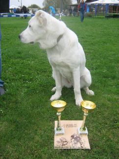 attachment.php?attachmentid=531417&stc=1&d=1476095381