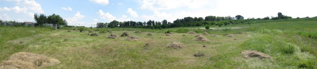 attachment.php?attachmentid=532564&d=1476800414