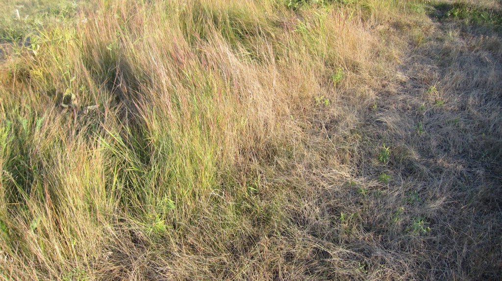 attachment.php?attachmentid=532565&d=1476800424