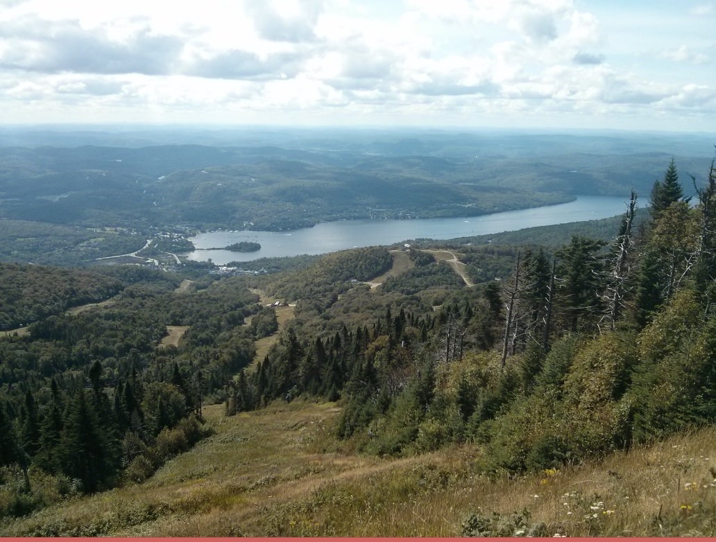 attachment.php?attachmentid=534563&stc=1&d=1478013617