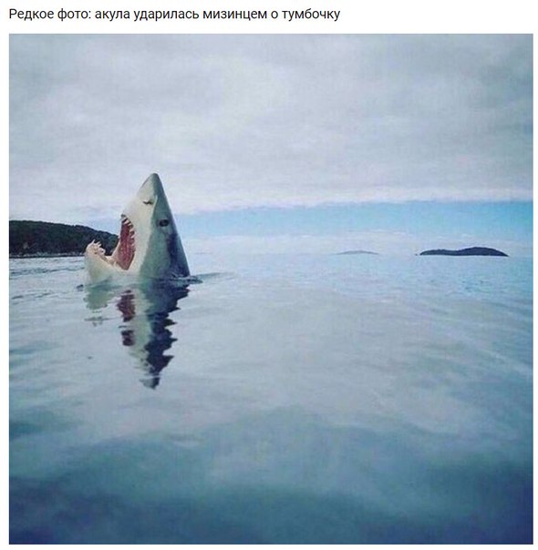 attachment.php?attachmentid=535961&stc=1&d=1478769267