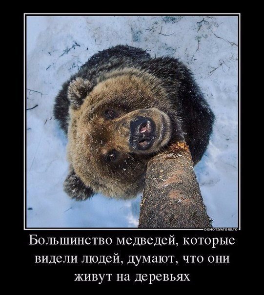 attachment.php?attachmentid=536712&stc=1&d=1479164636