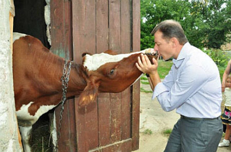 attachment.php?attachmentid=536816&stc=1&d=1479225202