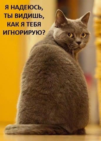 attachment.php?attachmentid=538355&stc=1&d=1480019732