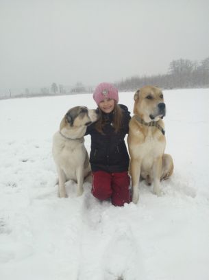 attachment.php?attachmentid=538455&stc=1&d=1480079922