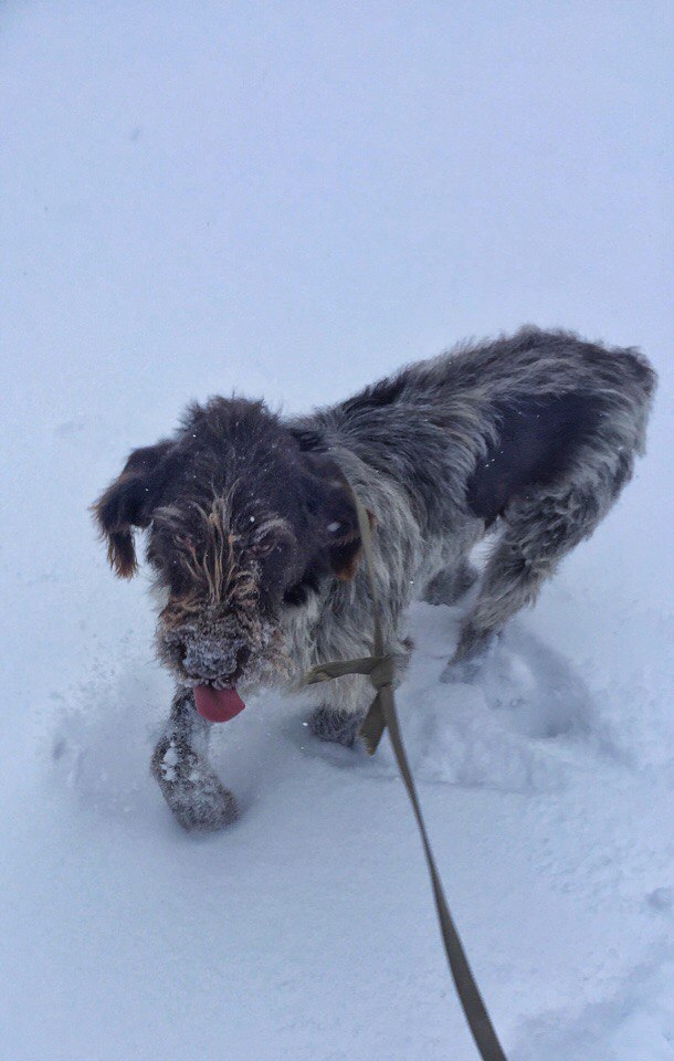 attachment.php?attachmentid=546661&stc=1&d=1485179594