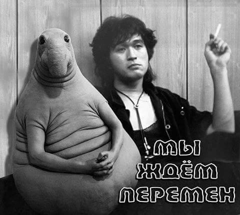 attachment.php?attachmentid=549042&stc=1&d=1486210437