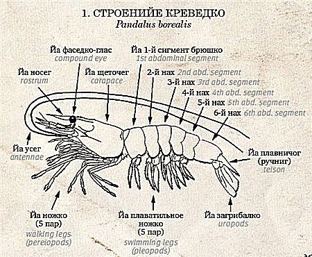 attachment.php?attachmentid=549446&stc=1&d=1486407453