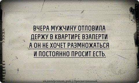 attachment.php?attachmentid=551655&stc=1&d=1487600822