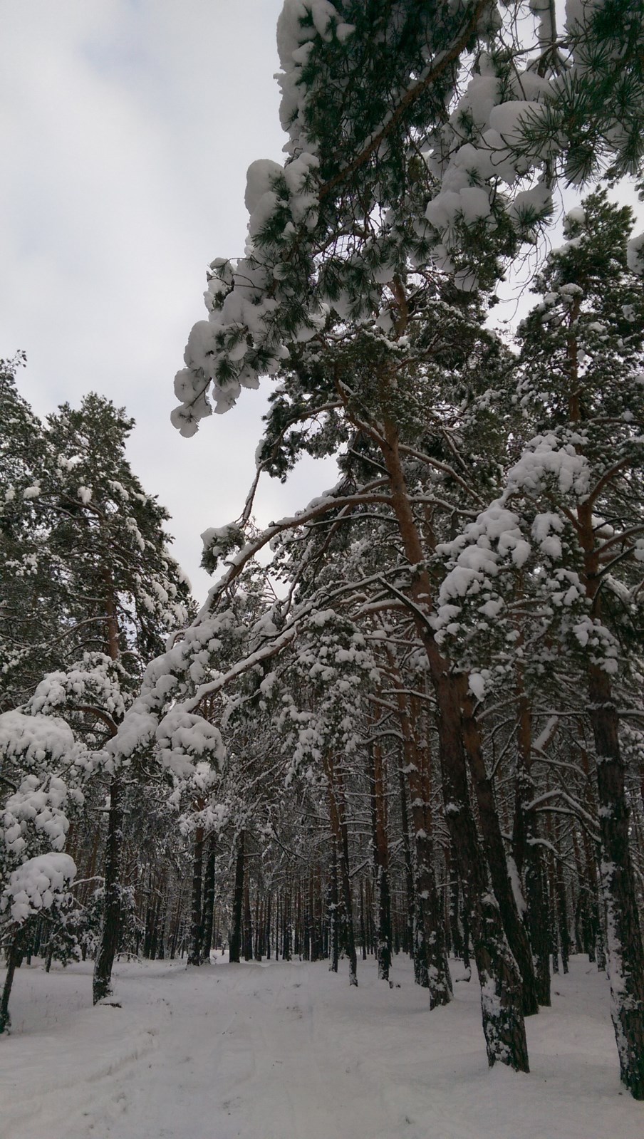 attachment.php?attachmentid=552399&d=1487941625