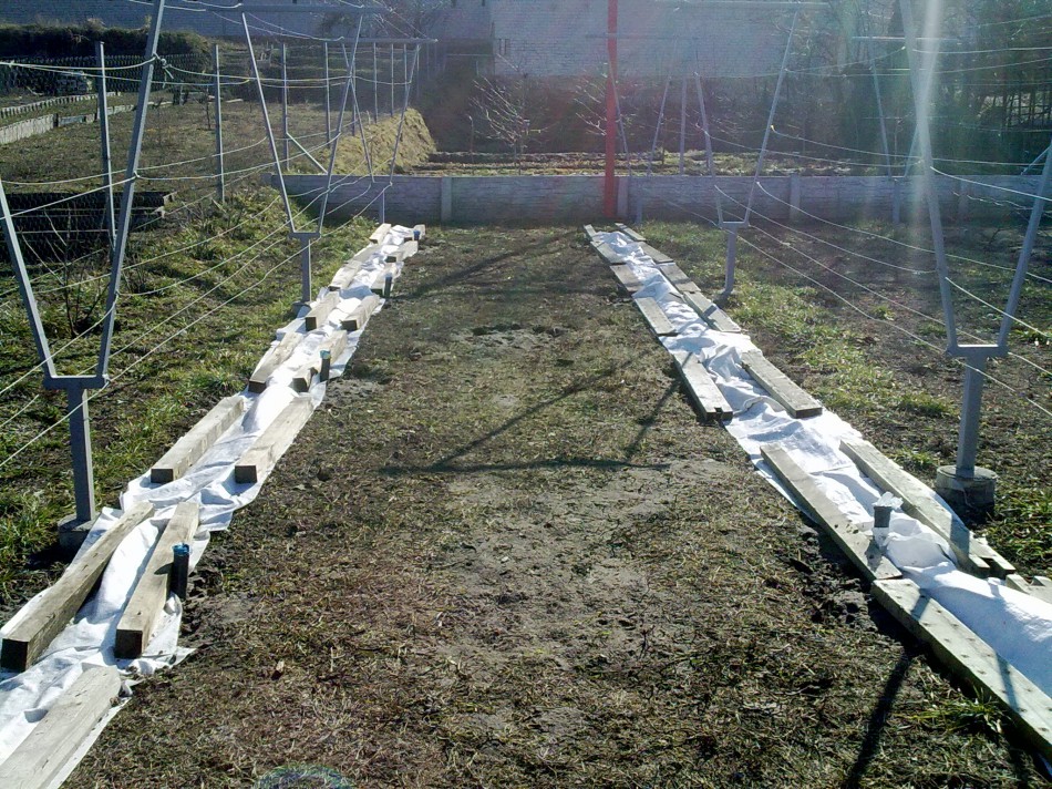 attachment.php?attachmentid=553746&stc=1&d=1488645437