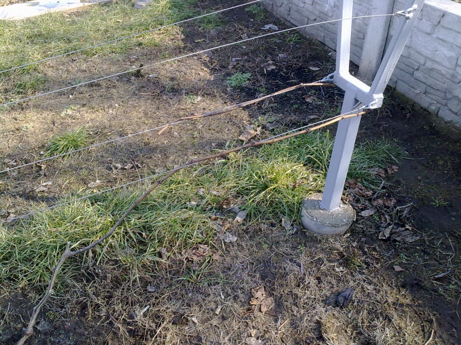 attachment.php?attachmentid=553749&stc=1&d=1488645709