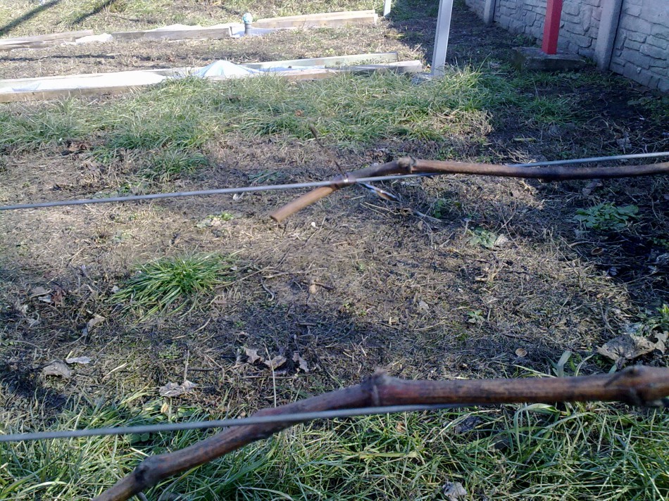 attachment.php?attachmentid=553750&stc=1&d=1488645945