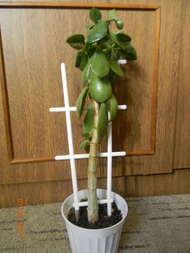 attachment.php?attachmentid=553863&stc=1&d=1488715798