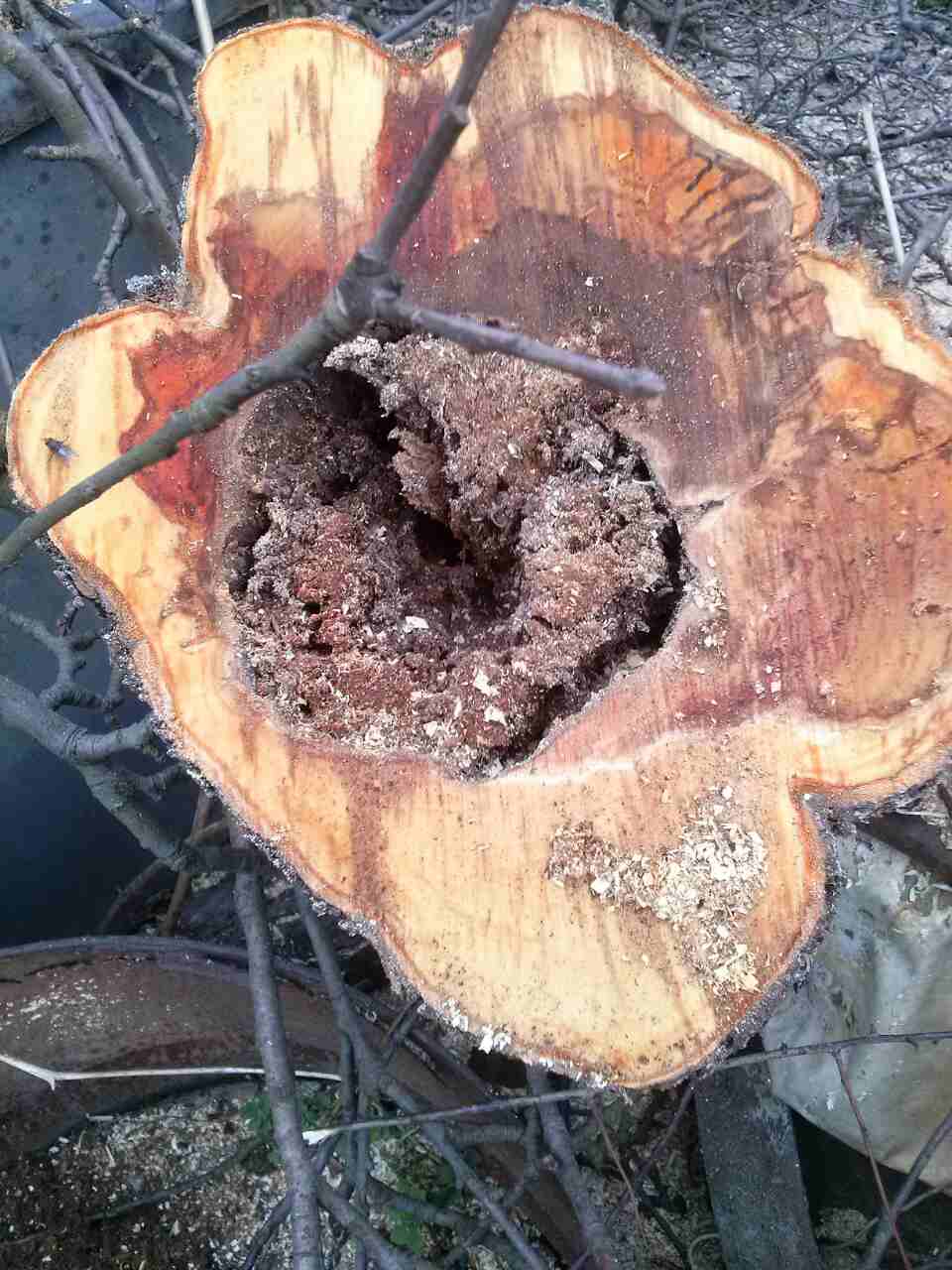 attachment.php?attachmentid=553991&stc=1&d=1488800020