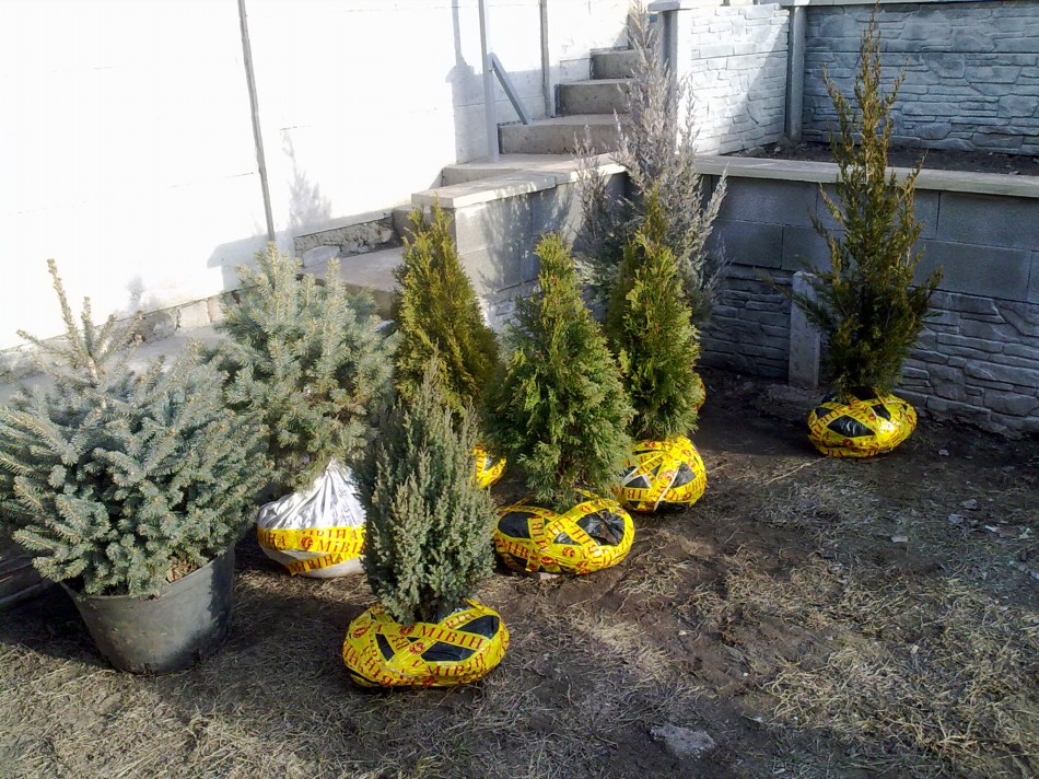 attachment.php?attachmentid=554089&stc=1&d=1488820839