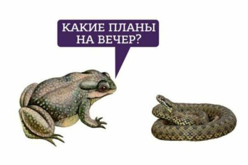 attachment.php?attachmentid=554132&stc=1&d=1488831030