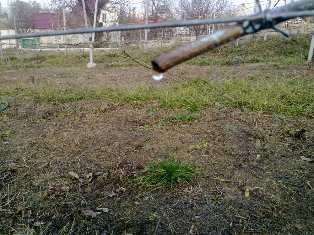 attachment.php?attachmentid=554879&stc=1&d=1489302913