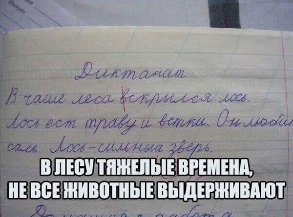 attachment.php?attachmentid=555386&stc=1&d=1489522203