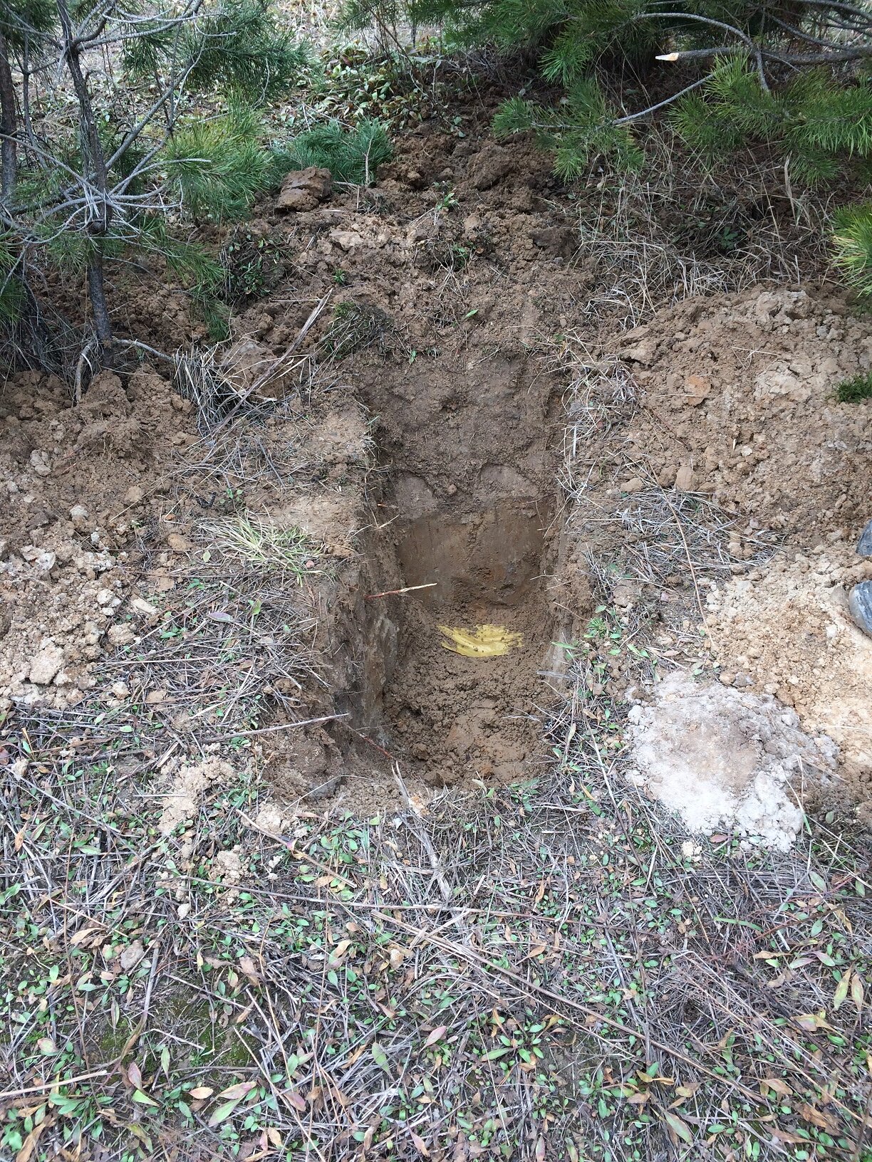 attachment.php?attachmentid=556109&stc=1&d=1489879657