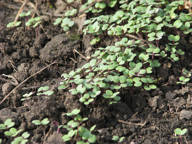 attachment.php?attachmentid=556877&stc=1&d=1490184593