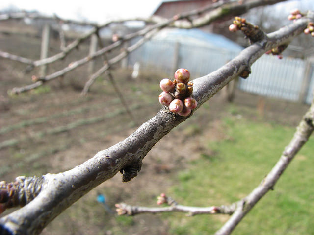 attachment.php?attachmentid=557027&stc=1&d=1490253622