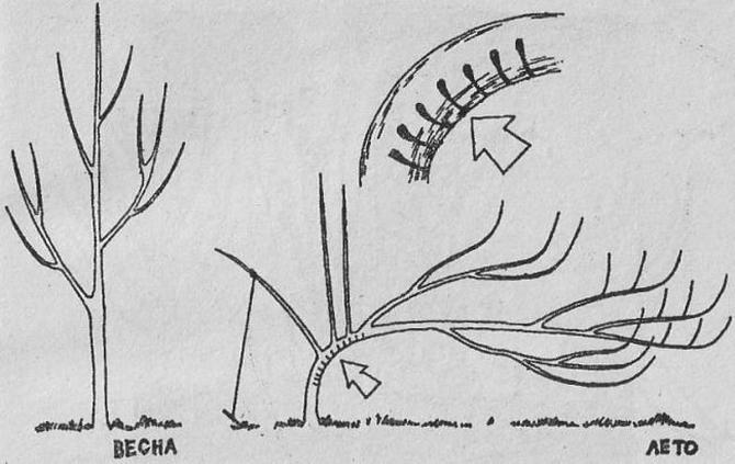 attachment.php?attachmentid=557661&stc=1&d=1490523161