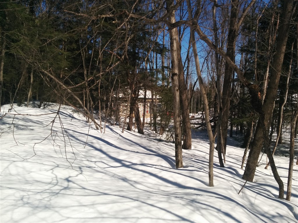 attachment.php?attachmentid=557798&stc=1&d=1490581249