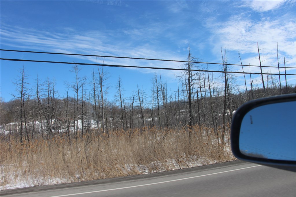 attachment.php?attachmentid=557801&stc=1&d=1490581263