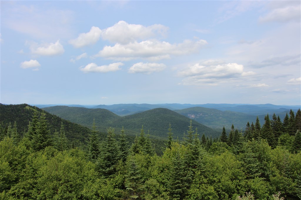 attachment.php?attachmentid=557805&stc=1&d=1490581753