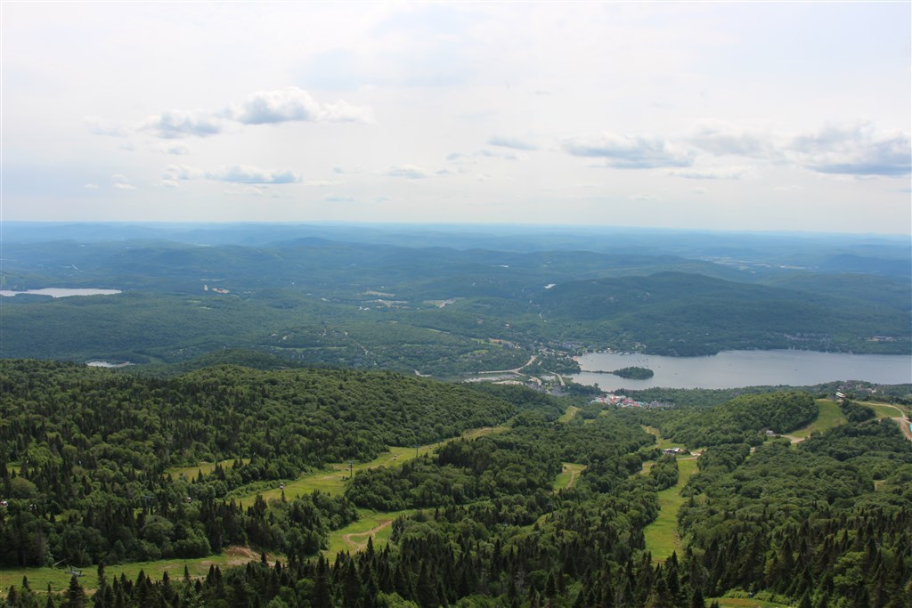 attachment.php?attachmentid=557809&stc=1&d=1490581764