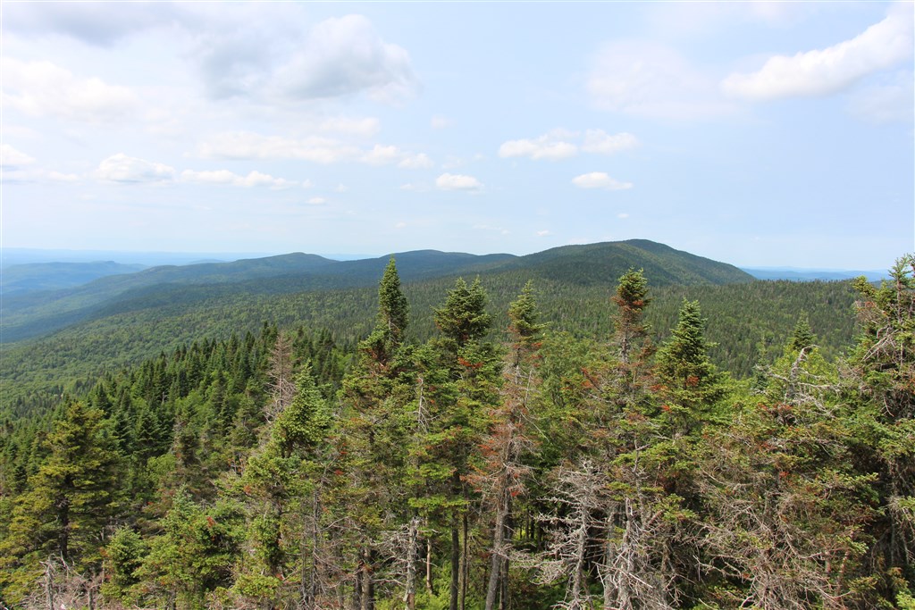 attachment.php?attachmentid=557811&stc=1&d=1490581770