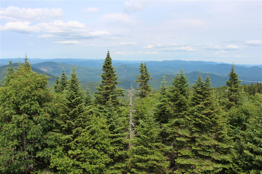 attachment.php?attachmentid=557812&stc=1&d=1490581773